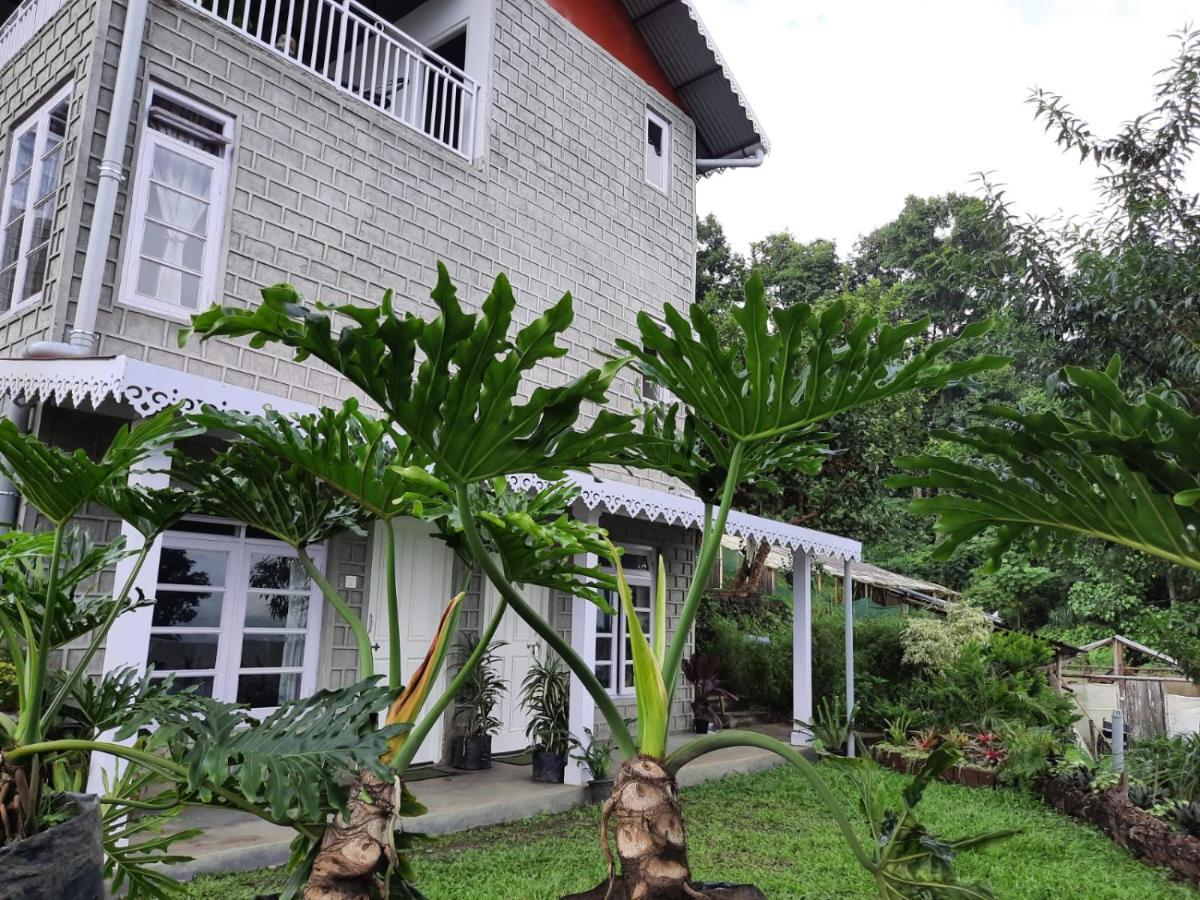 Aaravi Garden Homestay 噶伦堡 外观 照片