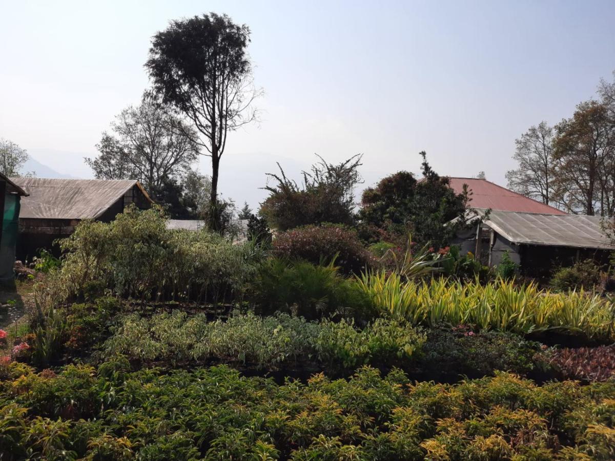 Aaravi Garden Homestay 噶伦堡 外观 照片